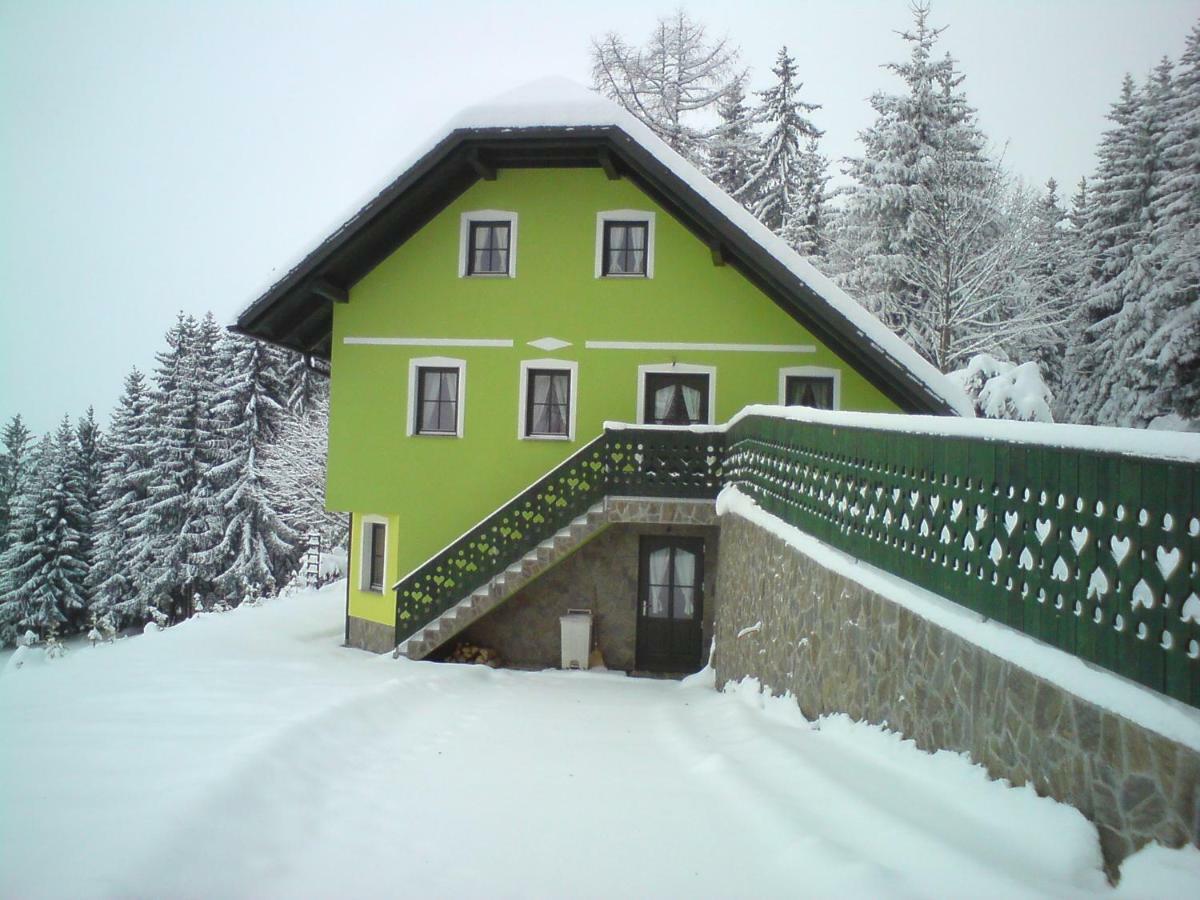 Apartment Sara Vitanje Экстерьер фото